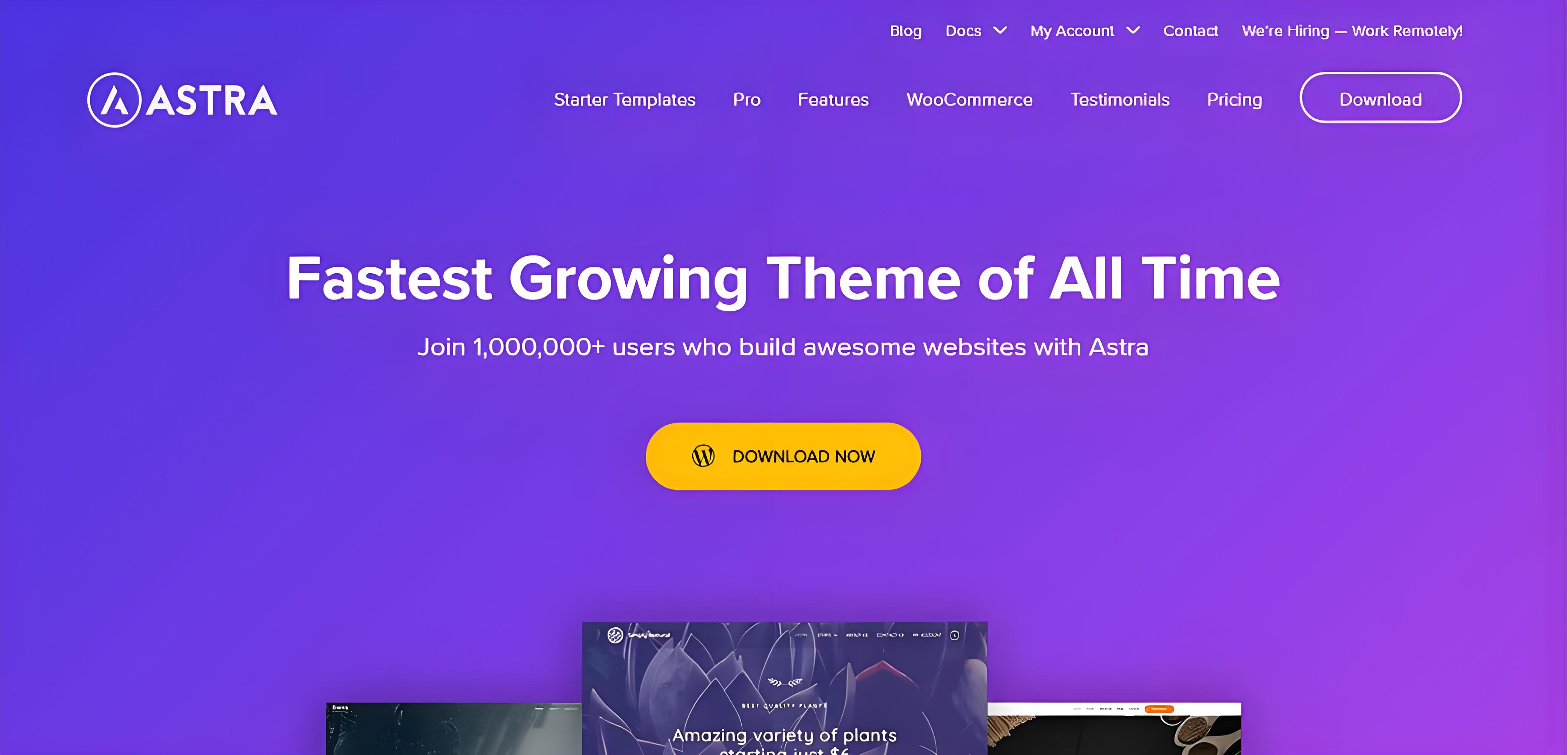 Astra主题 Astra Pro 4.8.7