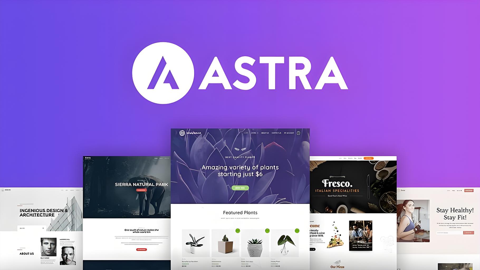 Astra主题 Astra Pro 4.8.7