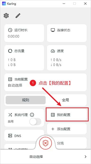 Karing 我的配置