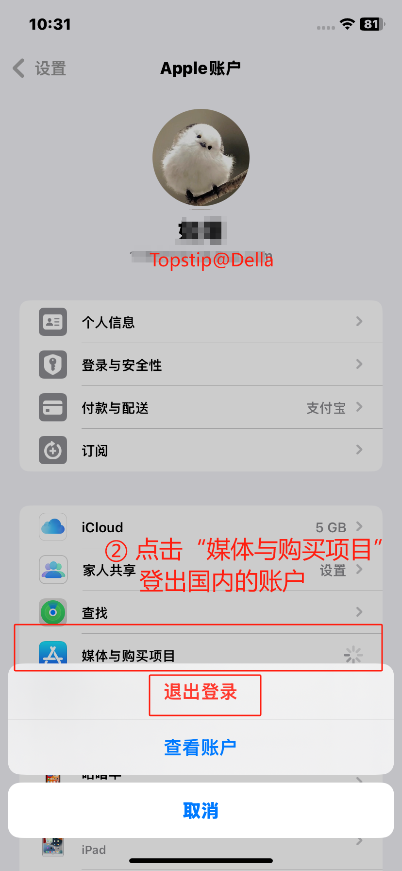 2024 最新美区 Apple ID 注册完整教程 国行 iPhone 开通 Apple intelligence 教程 (跳过付款方式)