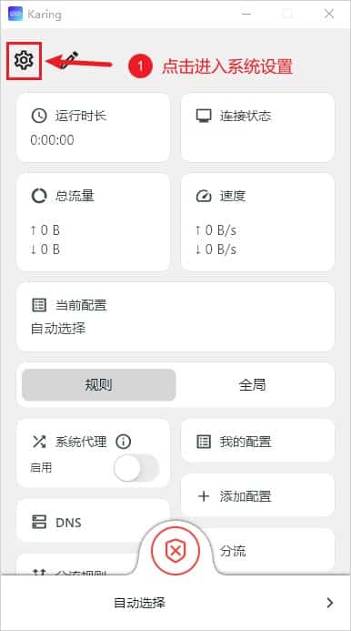 Karing 设置界面