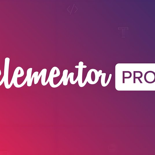 Elementor插件 Elementor Pro 3.25.4