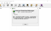 IDM下载器v6.42.38 特别绿色版