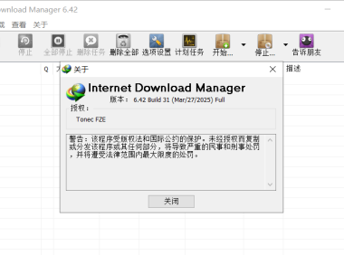 IDM下载器v6.42.38 特别绿色版
